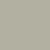 ash-gray-b